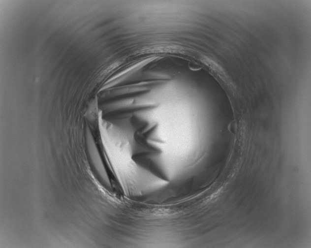 X0000077980841200611171726