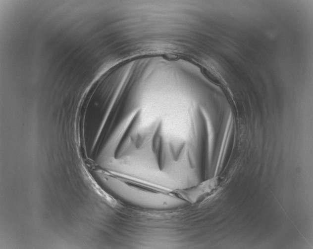 X0000077980843200611171727