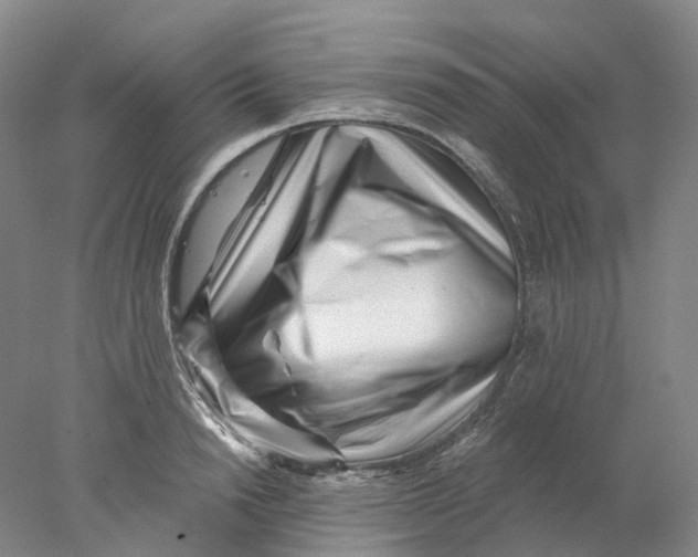 X0000077980846200611171727