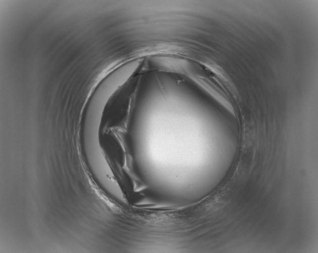 X0000077980850200611171727