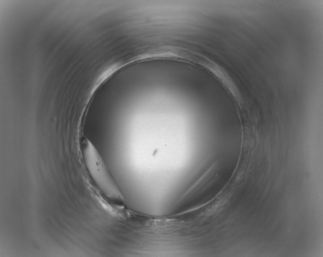 X0000077980858200611171727