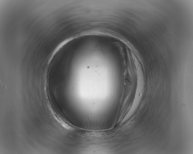 X0000077980862200611171727