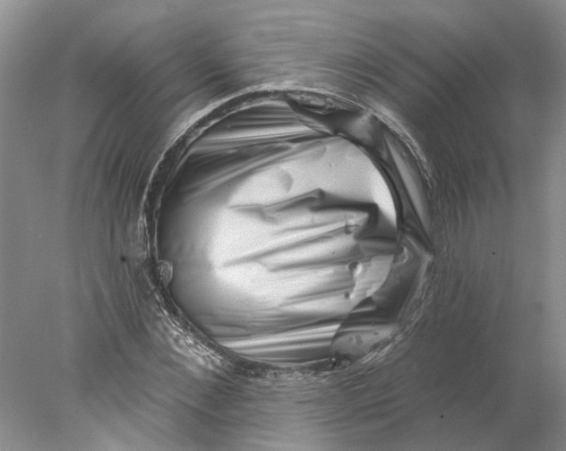 X0000077980876200611171726