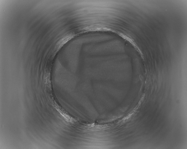 X0000077980881200611171726