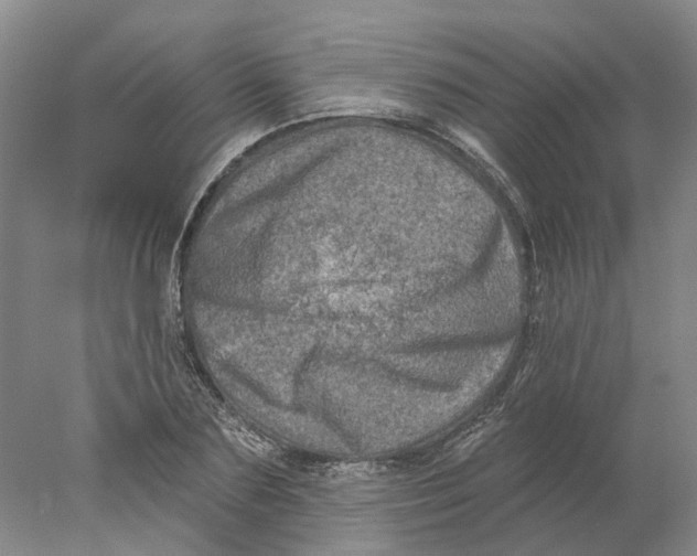 X0000077980883200611171726