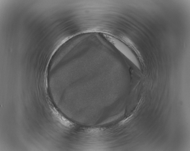 X0000077980892200611171726