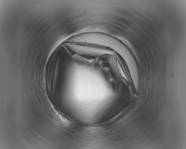 X0000077980894200611171726