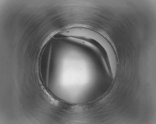 X0000077980898200611171726