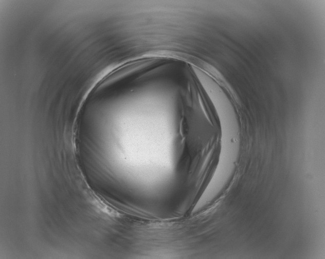 X0000077980908200611171725