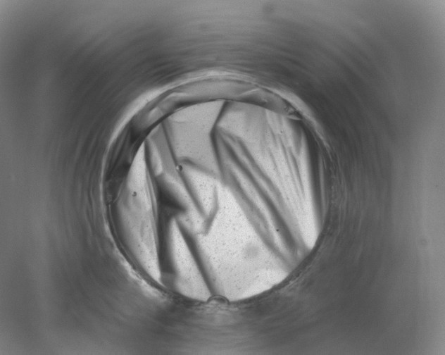 X0000077980910200611171725