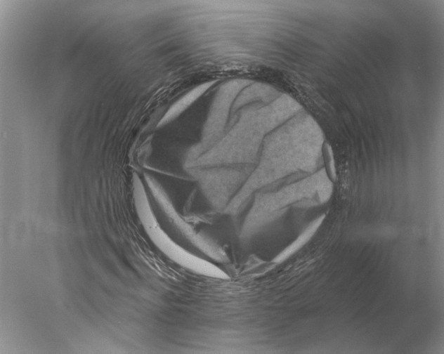 X0000077980916200611171725