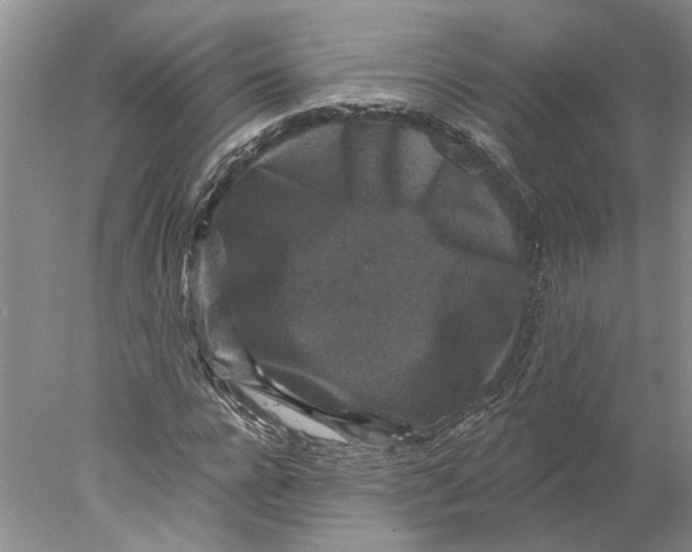 X0000077980920200611171725