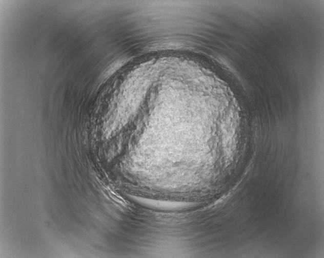 X0000077980921200611171725