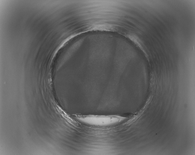 X0000077980923200611171725