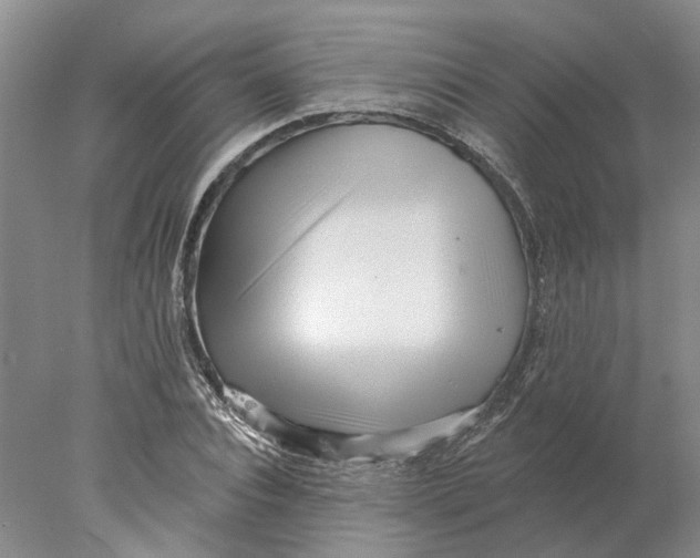 X0000077980928200611171725
