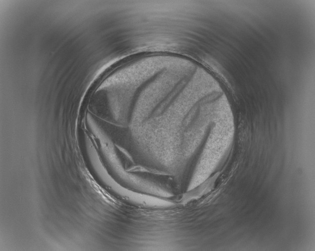 X0000077980932200611171725