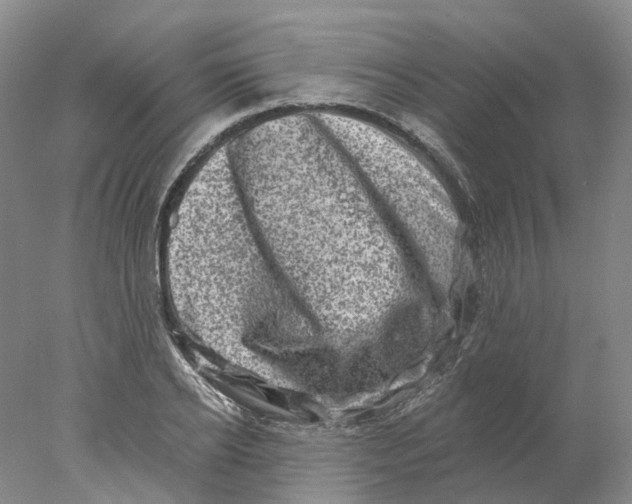 X0000077980934200611171725