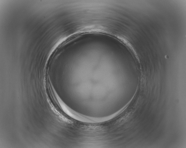 X0000077980941200611171725
