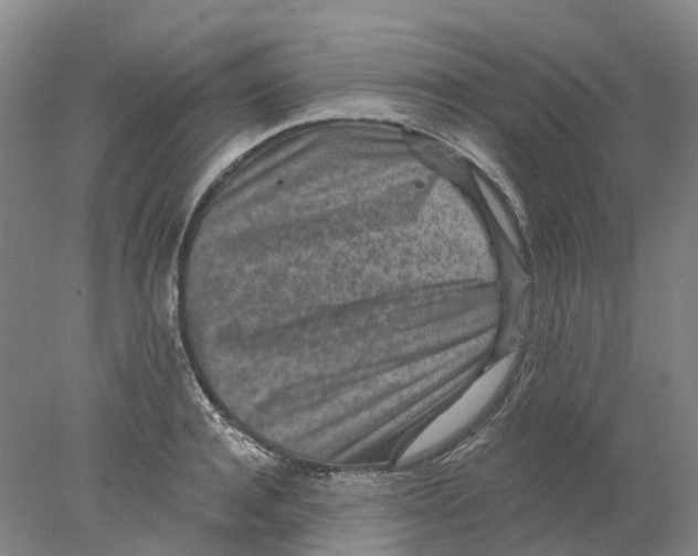 X0000077980944200611171725