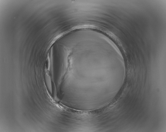 X0000077980945200611171725