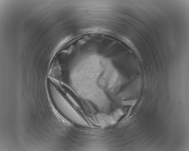 X0000077980946200611171725