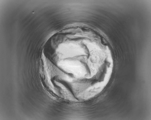 X0000077980953200611171725