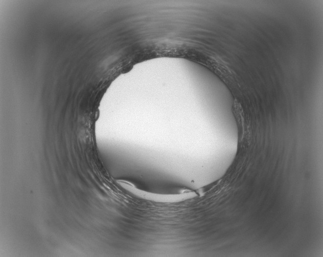 X0000077980964200611171724