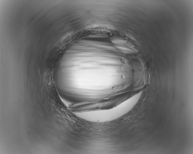 X0000077980965200611171724
