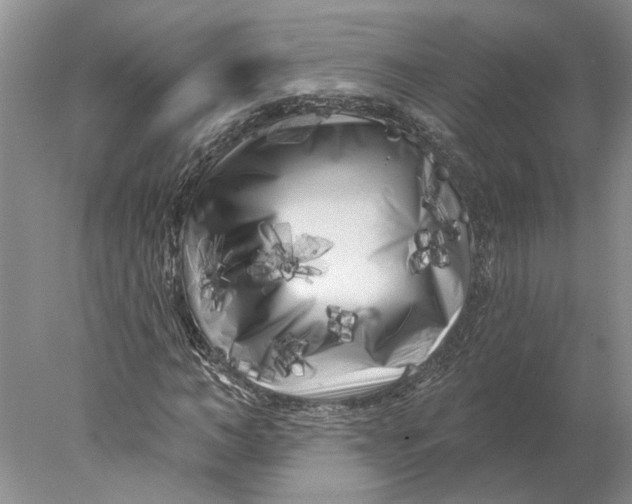 X0000077980966200611171724
