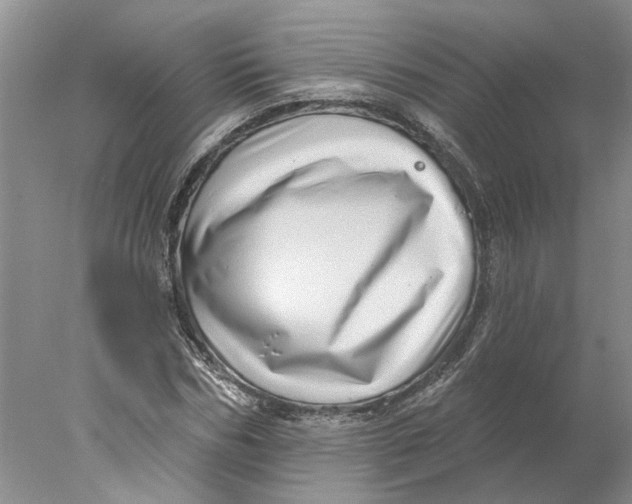 X0000077980970200611171724