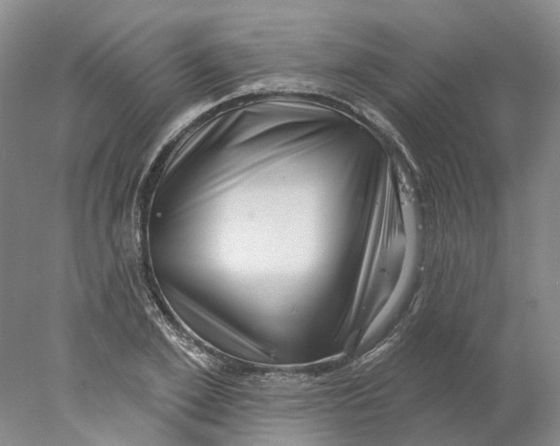 X0000077980981200611171724