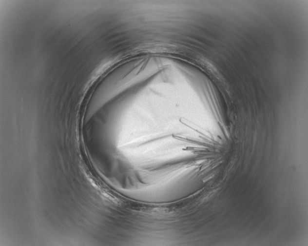 X0000077980986200611171724
