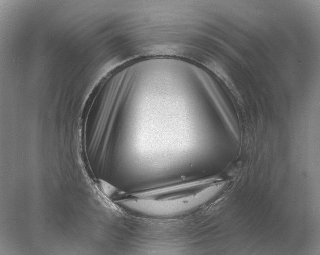 X0000077980992200611171724