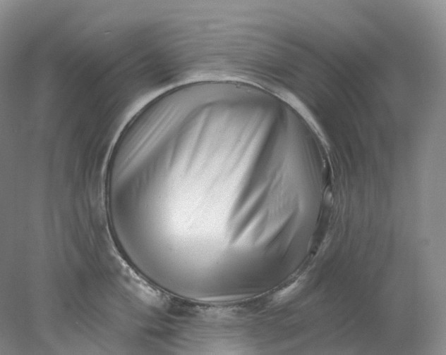 X0000077981004200611171724