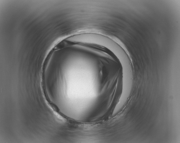 X0000077981005200611171724