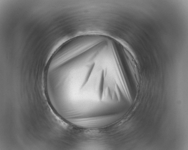 X0000077981006200611171724