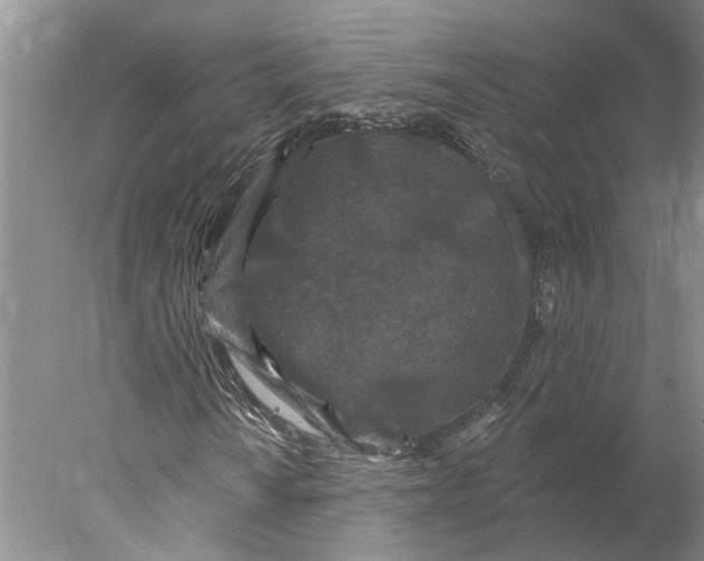 X0000077981010200611171723