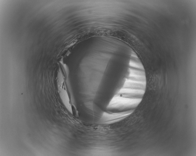 X0000077981013200611171723