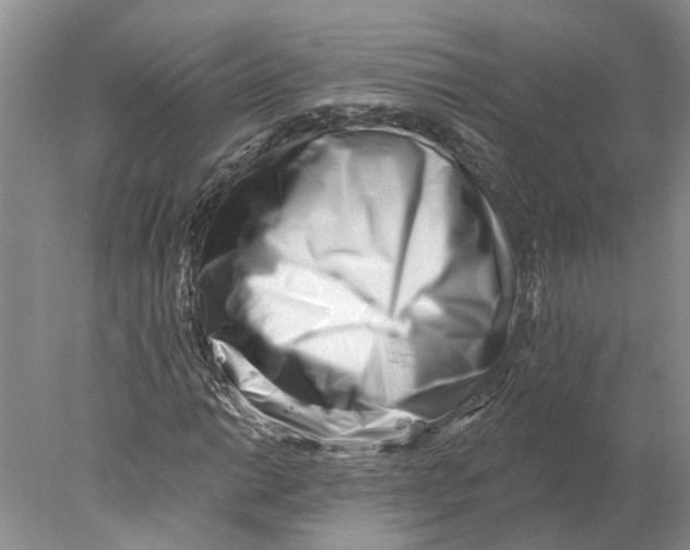 X0000077981014200611171723
