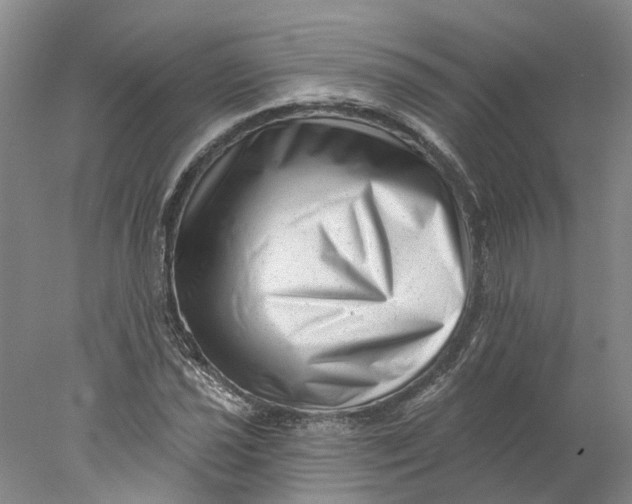 X0000077981021200611171723