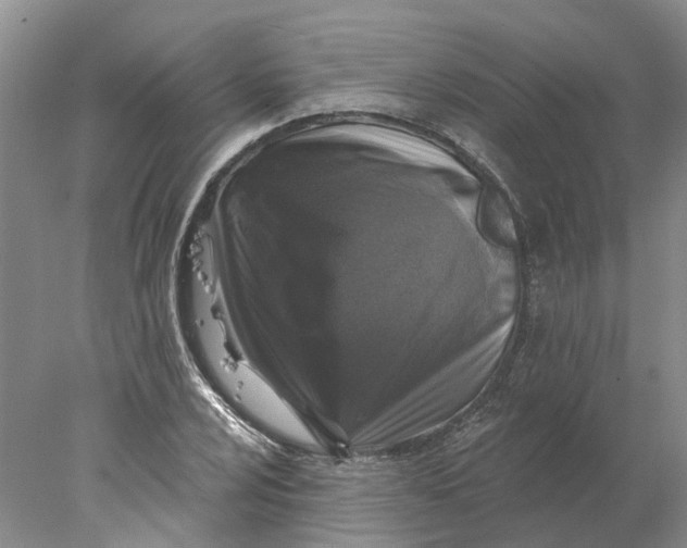 X0000077981024200611171723