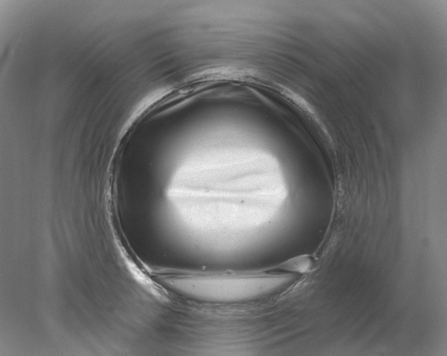 X0000077981042200611171723