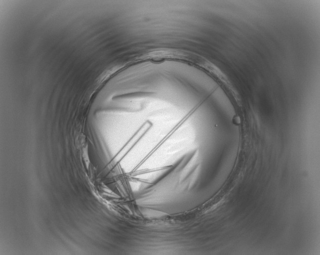 X0000077981049200611171724