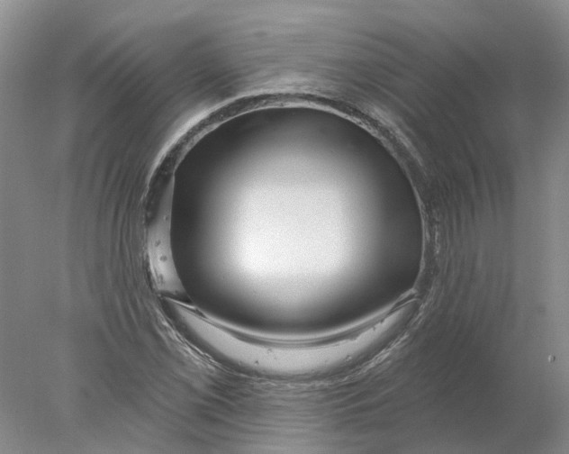 X0000077981069200611171723
