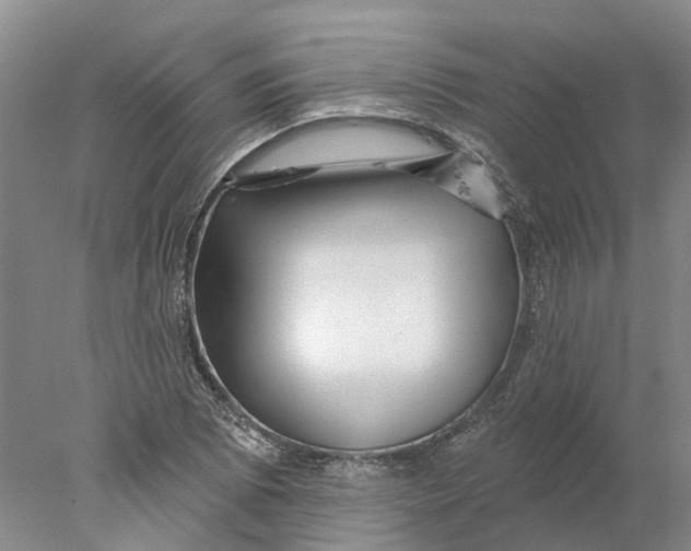X0000077981073200611171723
