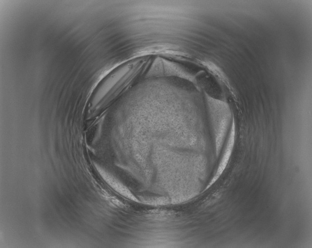 X0000077981081200611171722