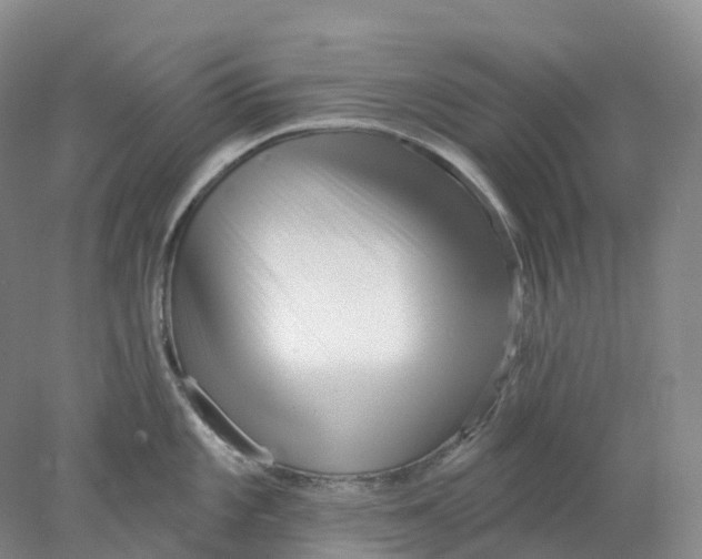 X0000077981101200611171722