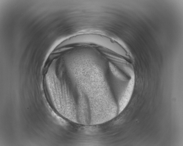 X0000077981102200611171722