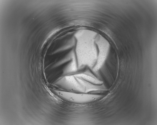 X0000077981115200611171721