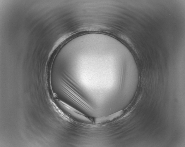 X0000077981122200611171721